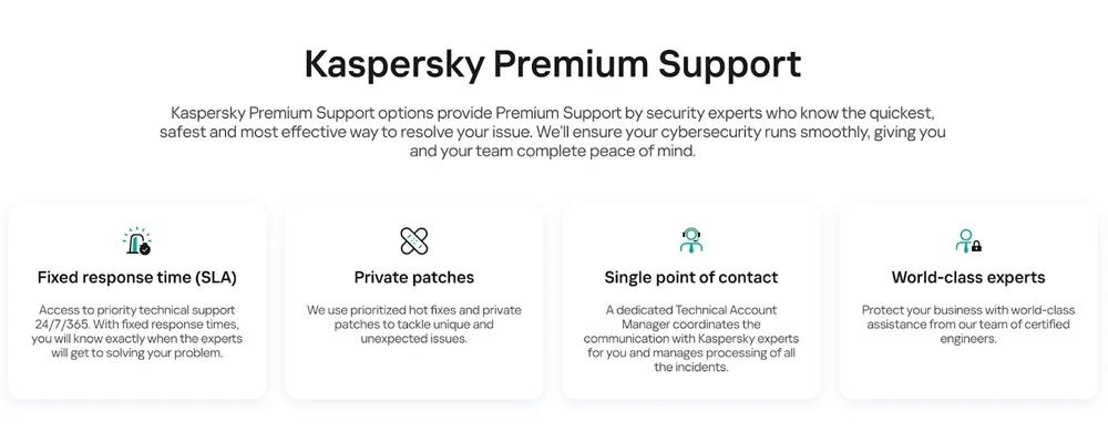 Kaspersky Premium Support page.
